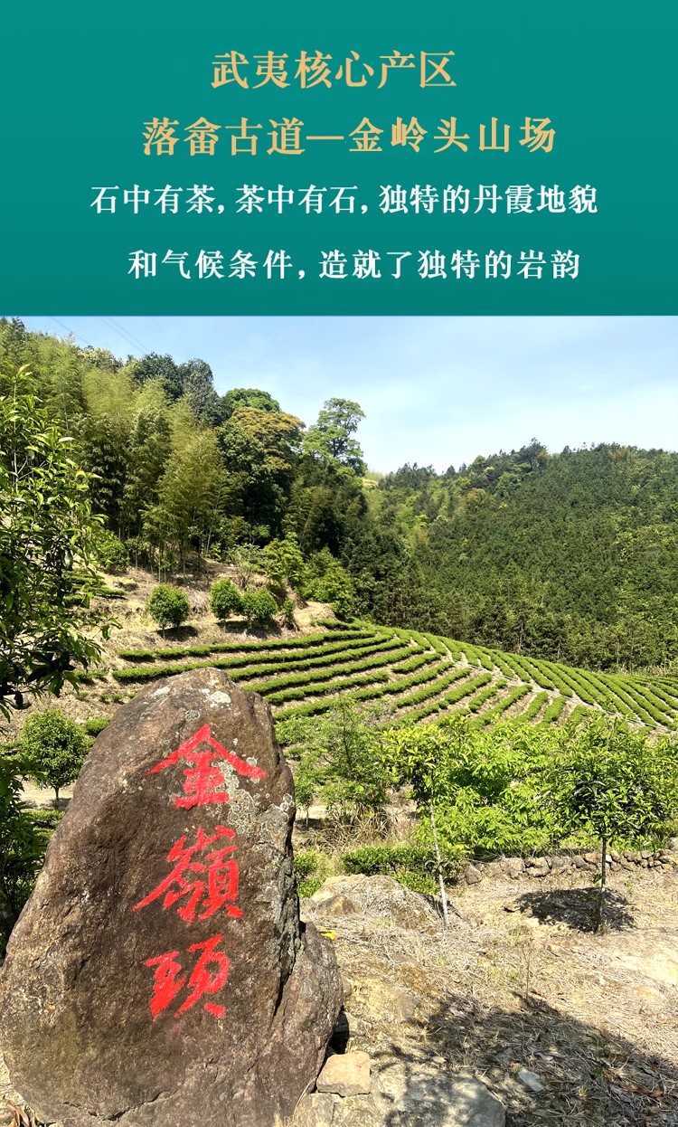 詳情圖04.jpg