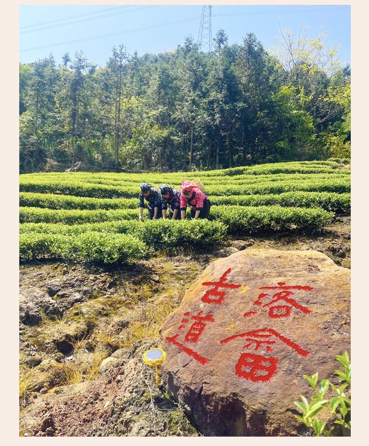 詳情圖29.jpg