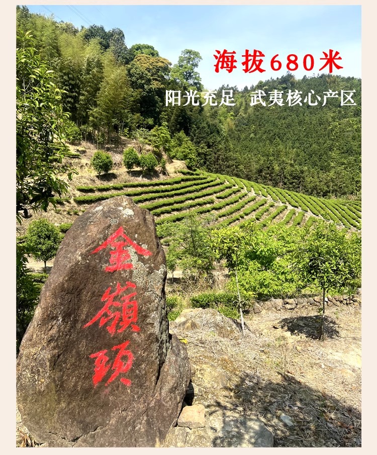 詳情圖28.jpg