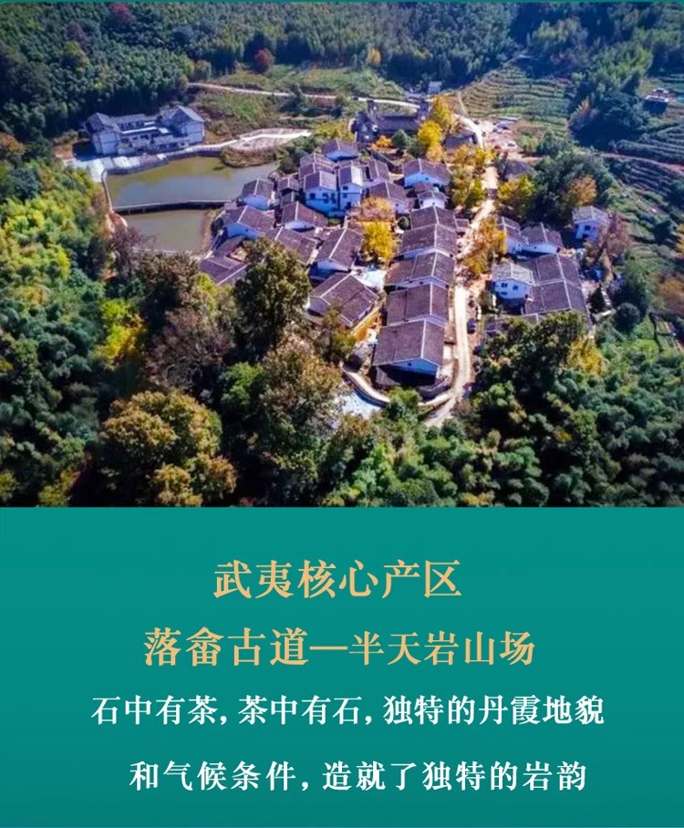 詳情圖04.jpg