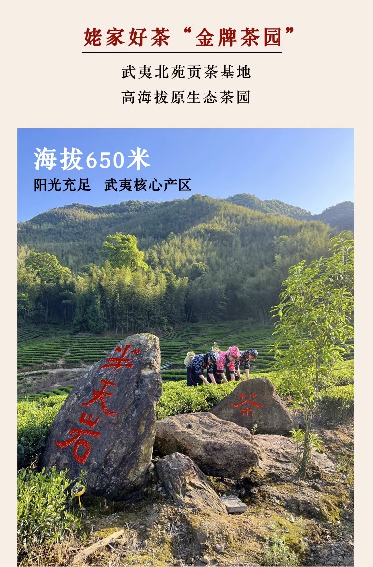 詳情圖26.jpg