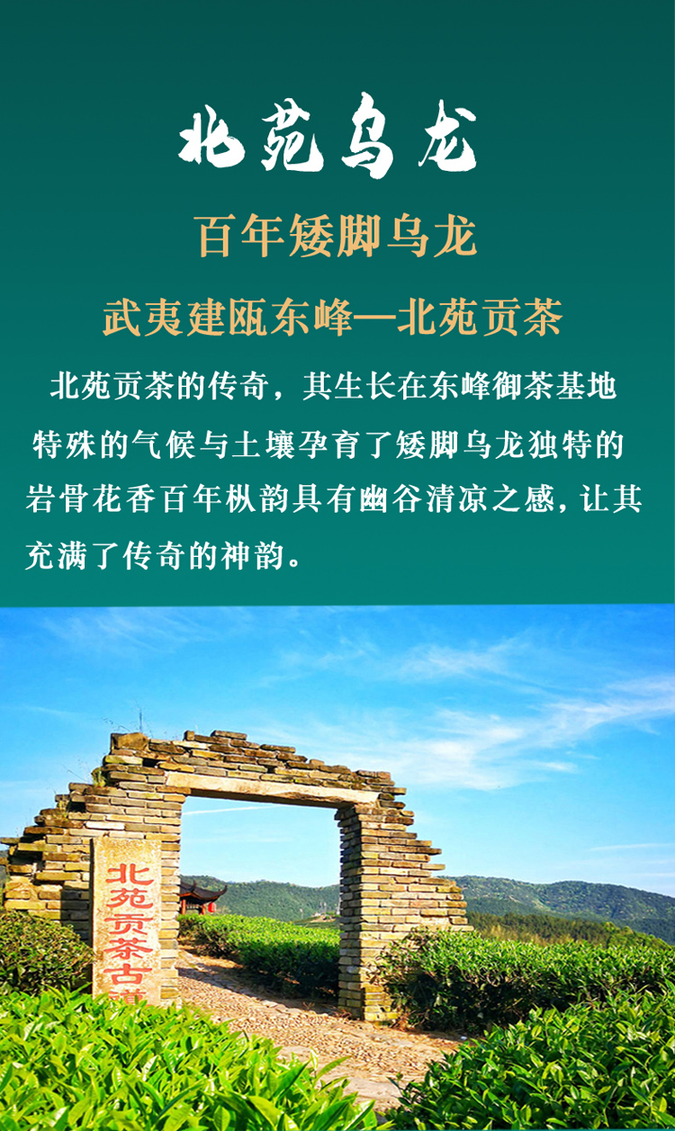 秋單泡詳情.jpg