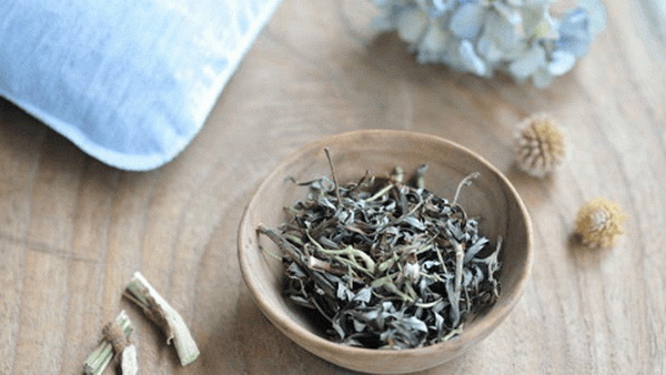 茶道之藝探秘完美泡茶的精髓