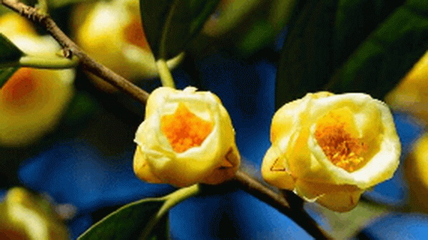 00CFF819B.jpg