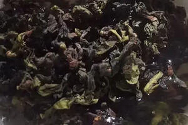 八馬茶業(yè)總部電話及聯(lián)系方式一覽