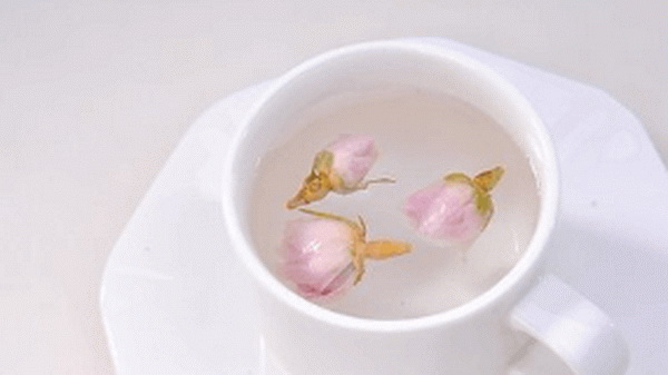 茶的種類及功效一杯健康與品味的選擇
