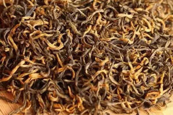 茶花之美綻放在山野間的瑰麗色彩