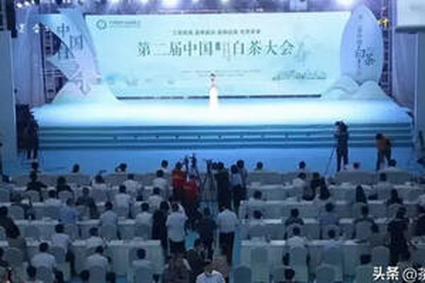茶葉的神奇力量全面解析茶葉的功效