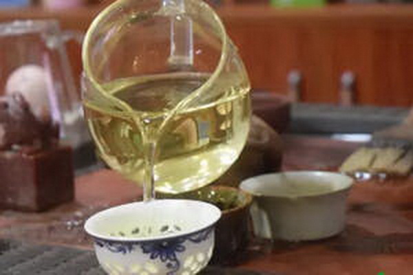 探尋白茶之鄉(xiāng)哪里是最好的產(chǎn)地