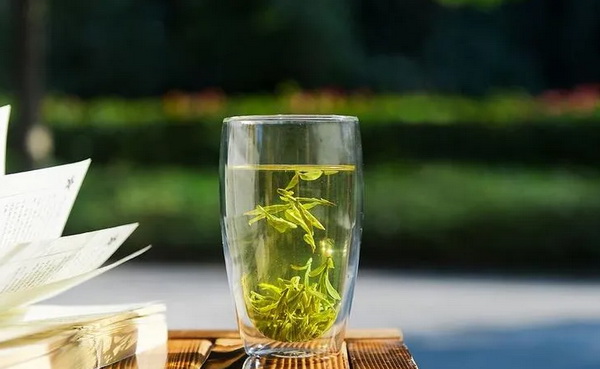 探尋白茶之美