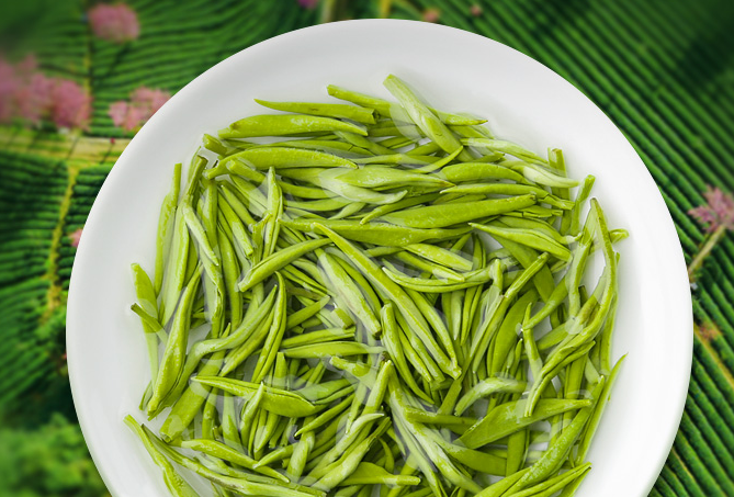 綠茶介紹,什么是綠茶(圖3)