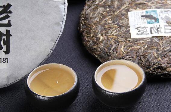 普洱茶的功效及品飲方法(圖1)