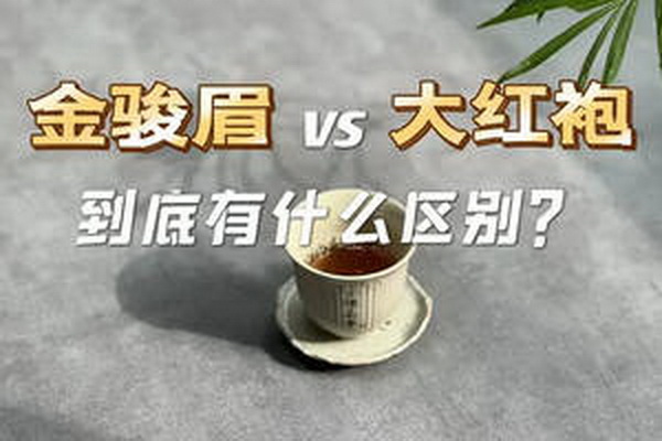 班章普洱茶品味真正的古樹韻味 班章普洱茶品味真正的古樹韻味