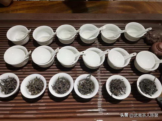 茶蟲屎傳奇功效解密驚人的神奇效果