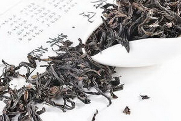 茶界盛事半年茶博會 茶界盛事半年茶博會