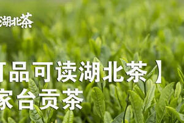 茶葉蛋獨(dú)家秘方及茶葉選擇技巧 茶葉蛋獨(dú)家秘方及茶葉選擇技巧