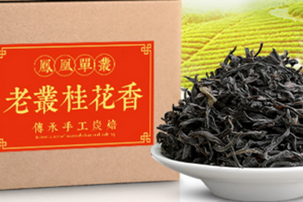 「老白茶藥用功效及價(jià)值探析」 「老白茶藥用功效及價(jià)值探析」