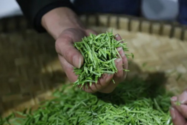 茶葉等級(jí)揭秘從初級(jí)到極品品味茶葉的奧秘 茶葉等級(jí)揭秘從初級(jí)到極品品味茶葉的奧秘