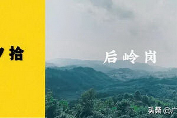 茶葉蛋的家常做法大揭秘 茶葉蛋的家常做法大揭秘