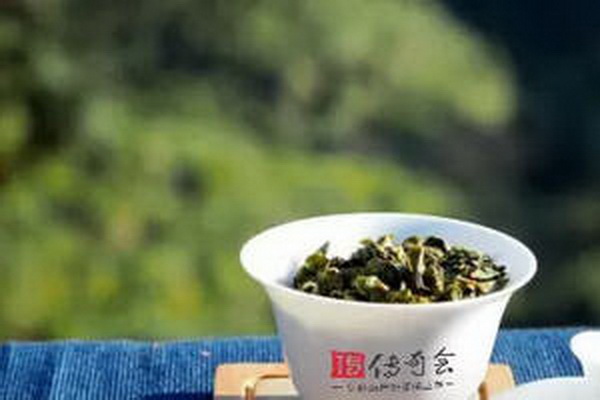 茶蟲觀察圖片大全及特征解析 茶蟲觀察圖片大全及特征解析