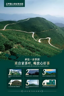 茶包裝文創(chuàng)盛會(huì)探討行業(yè)未來 茶包裝文創(chuàng)盛會(huì)探討行業(yè)未來