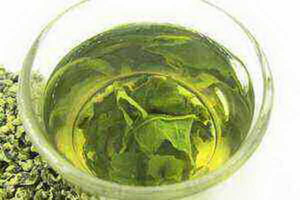 茶梅小苗滋養(yǎng)心靈的綠色之旅 茶梅小苗滋養(yǎng)心靈的綠色之旅