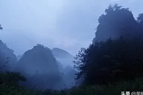 茶葉蛋簡單美味輕松自制 茶葉蛋簡單美味輕松自制