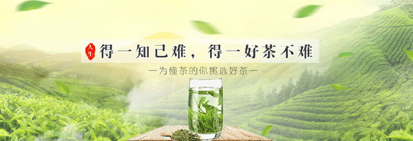 茶多酚健康護(hù)航的神奇力量 茶多酚健康護(hù)航的神奇力量