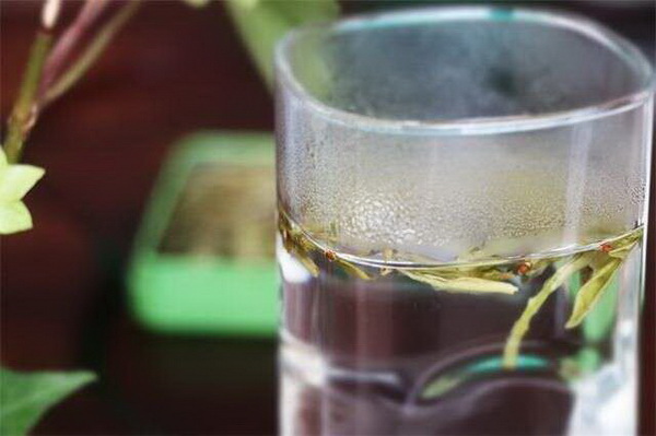 白茶煮還是泡飲用指南揭秘 白茶煮還是泡飲用指南揭秘