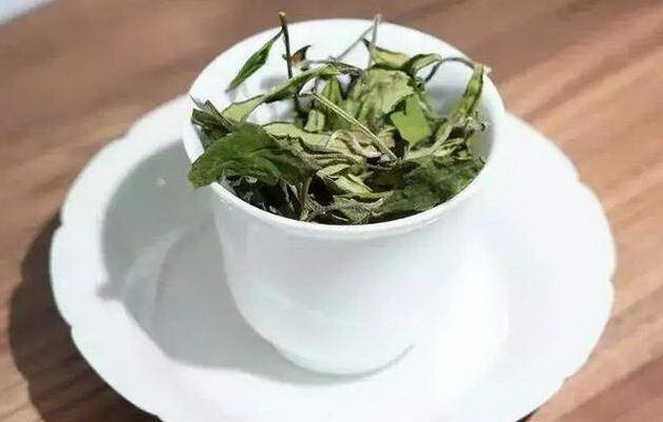 白茶十大名茶排名揭曉誰(shuí)登頂榜首 白茶十大名茶排名揭曉誰(shuí)登頂榜首