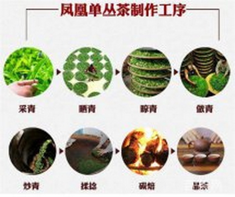 白茶保存小技巧保持清香不失鮮度 白茶保存小技巧保持清香不失鮮度