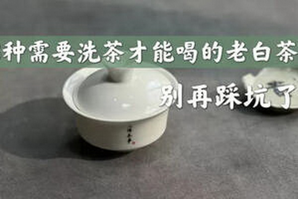 茶苗種植專家提供全方位的銷售服務(wù) 茶苗種植專家提供全方位的銷售服務(wù)