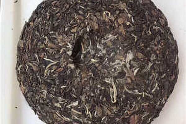 茶樹之美一葉知秋百味共賞 茶樹之美一葉知秋百味共賞