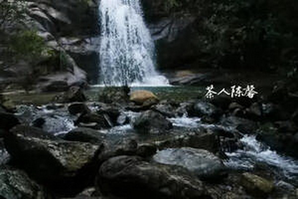 茶品牌logo設(shè)計(jì)全攻略 茶品牌logo設(shè)計(jì)全攻略