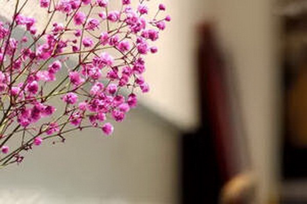 茶人修行口訣圖解 茶人修行口訣圖解