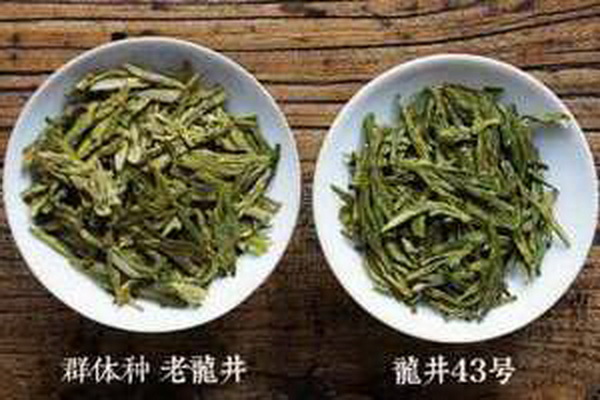白牡丹茶白茶中的珍品 白牡丹茶白茶中的珍品
