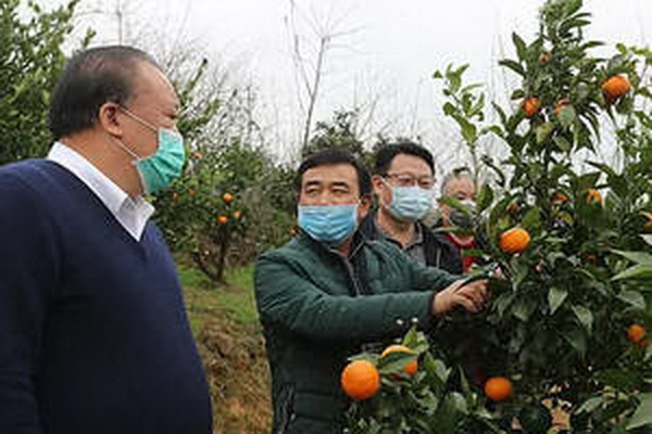 茶葉的性質(zhì)冷熱爭議解析 茶葉的性質(zhì)冷熱爭議解析