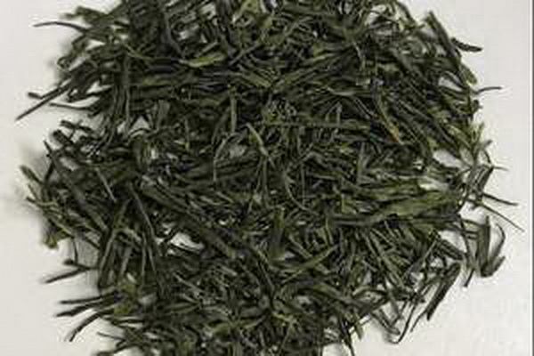 茶花養(yǎng)成攻略打造矮壯茶花的秘訣 茶花養(yǎng)成攻略打造矮壯茶花的秘訣