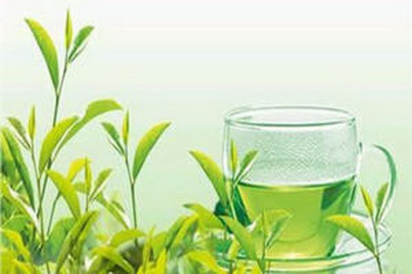 八馬茶業(yè)茶貴還是物有所值 八馬茶業(yè)茶貴還是物有所值