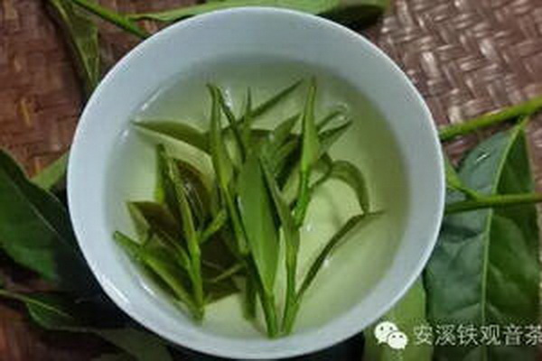 冰島普洱茶價格揭秘一斤多少錢 冰島普洱茶價格揭秘一斤多少錢