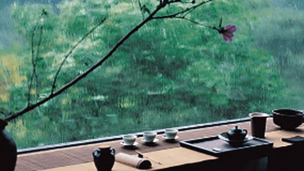 茶葉的魅力高清圖片大全賞析 茶葉的魅力高清圖片大全賞析