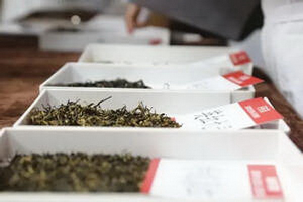 安徽白茶最佳產(chǎn)地在何處 安徽白茶最佳產(chǎn)地在何處