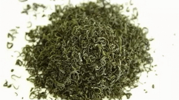 茶蟲屎的神奇功效及作用解析 茶蟲屎的神奇功效及作用解析