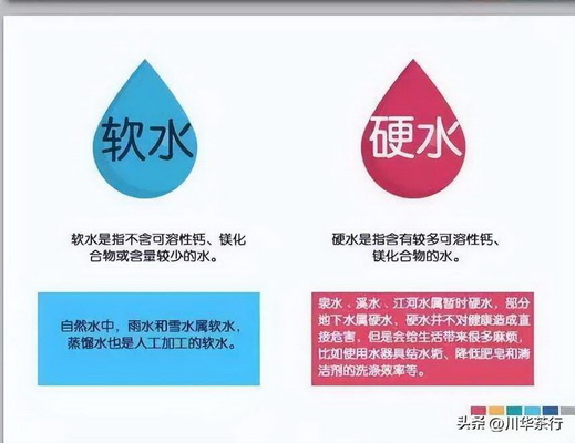 白茶制作詳解古法工藝傳承與現(xiàn)代創(chuàng)新 白茶制作詳解古法工藝傳承與現(xiàn)代創(chuàng)新