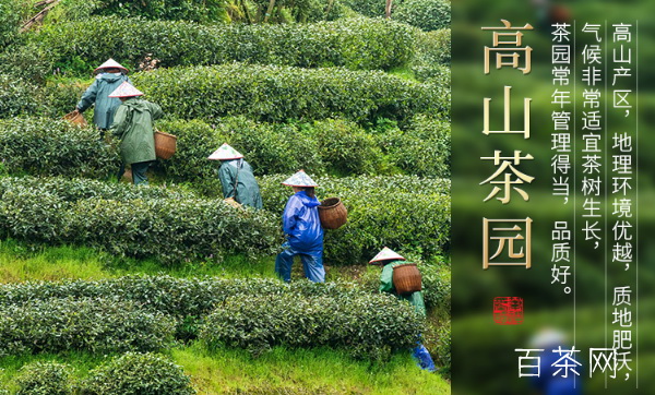 安吉白茶禮盒品質(zhì)與價(jià)值 安吉白茶禮盒品質(zhì)與價(jià)值