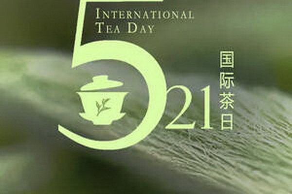 茶葉保存技巧大揭秘鮮香常伴久藏不變