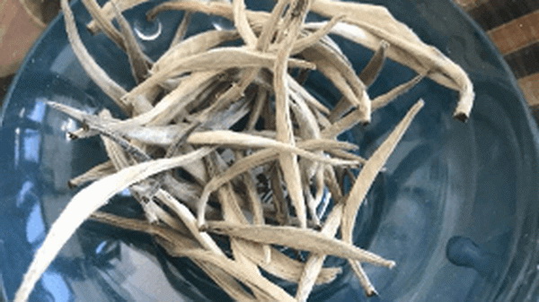 品味十大花茶探尋香氣與美味