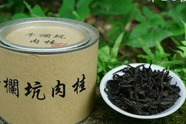 品味十大花茶賞心悅目多姿多彩
