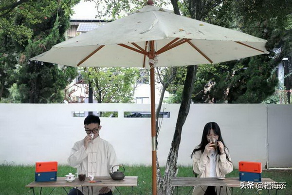 品味十年武夷巖茶之美盡在口中回味