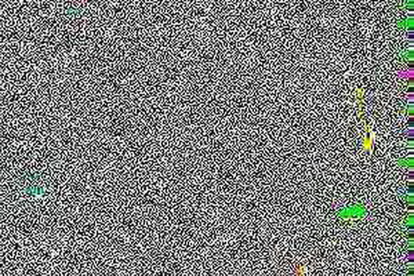 小葉苦丁茶改善睡眠的奇效